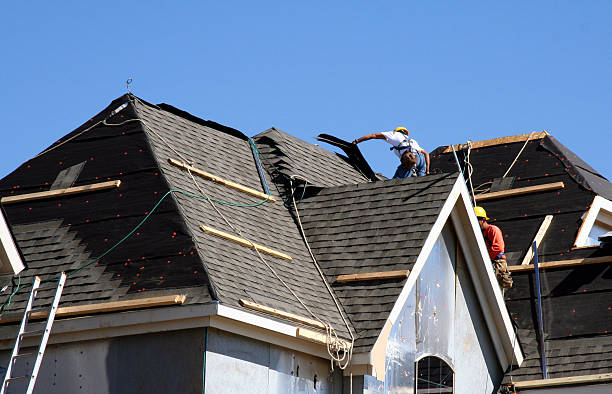 Best Gutter Installation and Roofing  in Oak Grove, MN