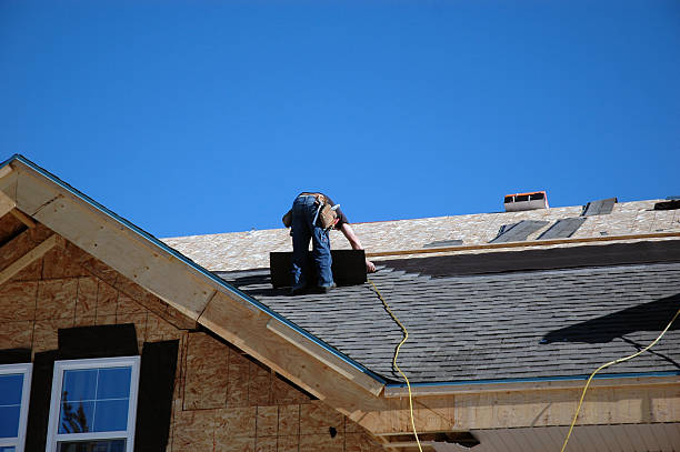 Best Metal Roofing Contractor  in Oak Grove, MN