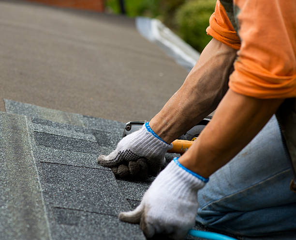 Best Storm Damage Roof Repair  in Oak Grove, MN