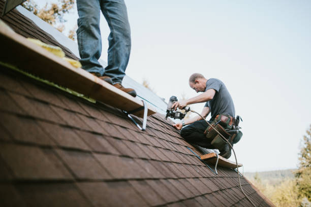 Best Roof Gutter Cleaning  in Oak Grove, MN