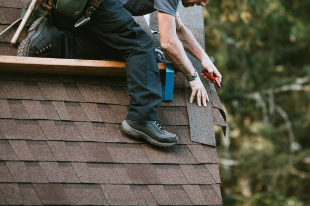 Best Flat Roof Repair Services  in Oak Grove, MN